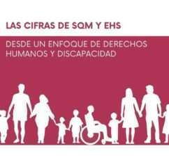 Portada del informe "Las cifras de SQM y EHS desde un enfoque de derechos humanos y discapacidad" elaborado por MEDUSA para CONFESQ